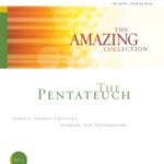 The Amazing Collection - Workbooks