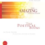 The Amazing Collection Bible study