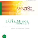 The Amazing Collection Bible study