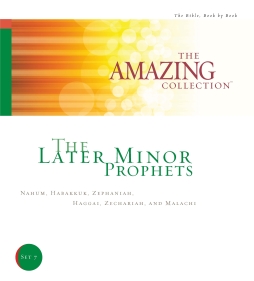 The Amazing Collection Bible study