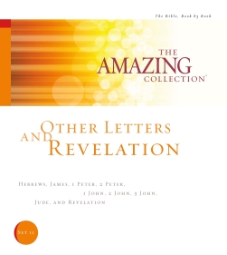 The Amazing Collection Bible study
