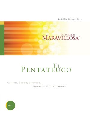 Pentateuch Spanish Workbook