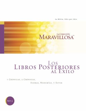 Post-Exilic Books Spanish Workbook