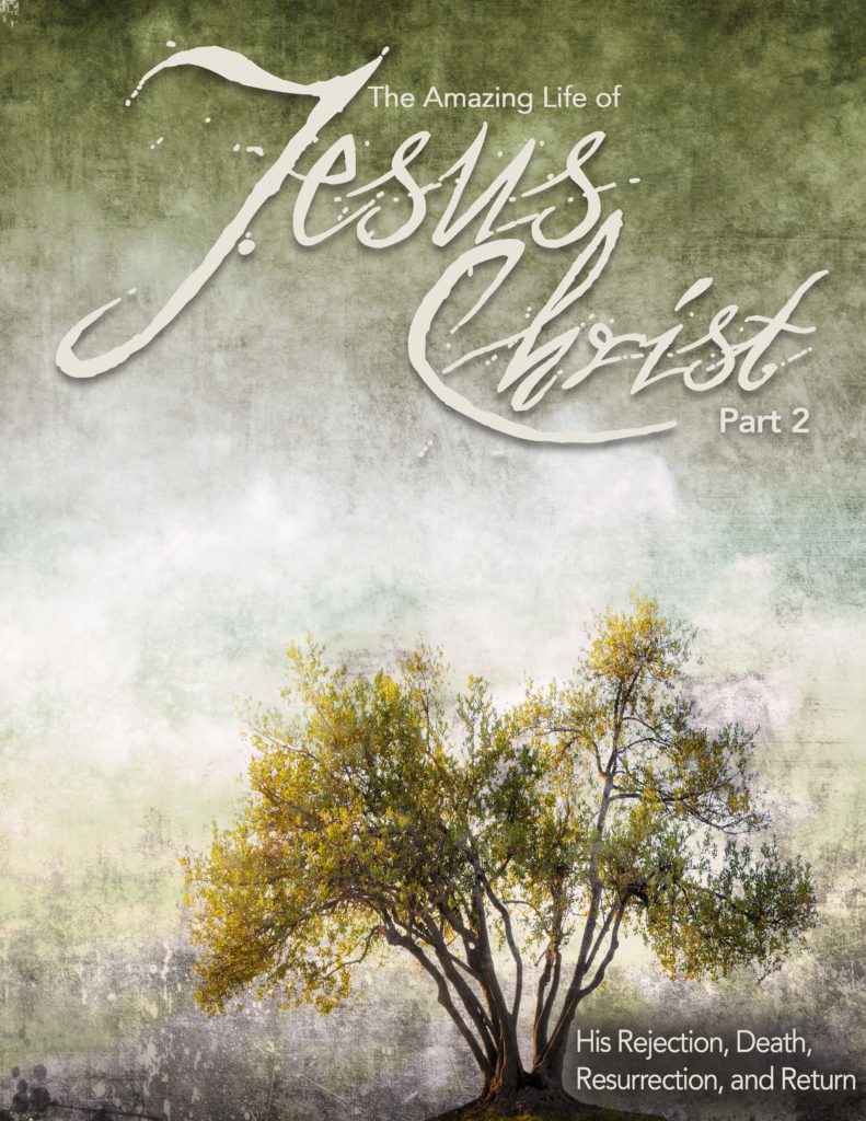 The Amazing Life of Jesus Christ - Part 2