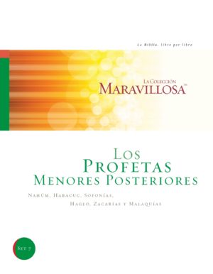 Later Minor Prophets Spanish Workbook