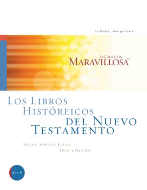 New Testament Historical Books Spanish Workbook