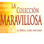 The Amazing Collection - Spanish Workbooks